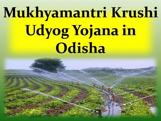 Mukhya Mantri Krushi Udyog Yojana in Odisha